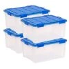 15 Gal. Lockable Plastic Storage Tote in Clear with Sturdy Blue Lid and Buckles (4-Pack) by IRIS -Kate and Laurel Shop clear blue iris storage bins 500135 64 1000